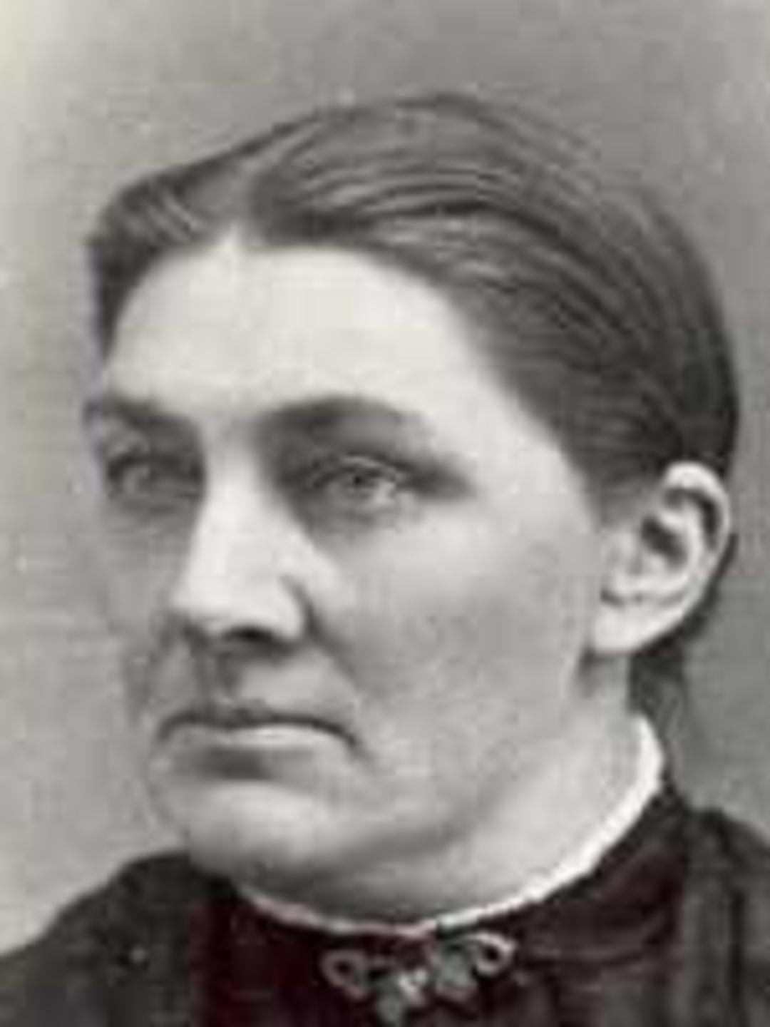 Anne Cecilie Nielsen (1844 - 1911) Profile